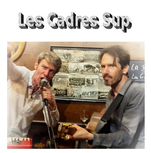 affiche site les cadres sup